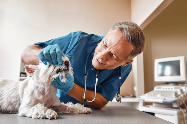 Best Weekend Emergency Dentist in Clear Lake Shores, TX